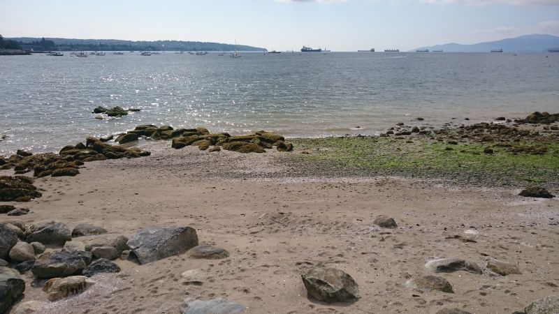 Am English Bay 